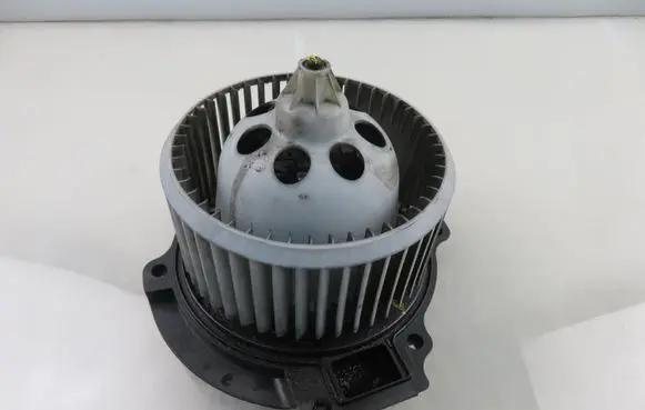 Heater fan/blower