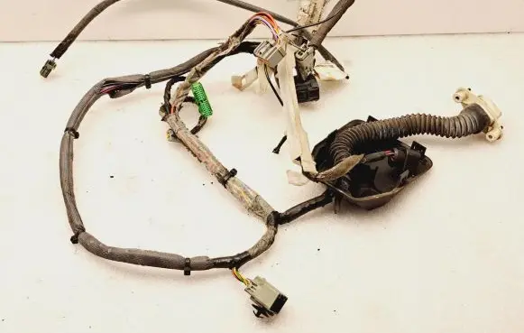 Front door wiring loom