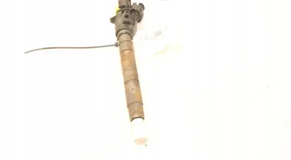 Volvo V60 Fuel injector 0445116046