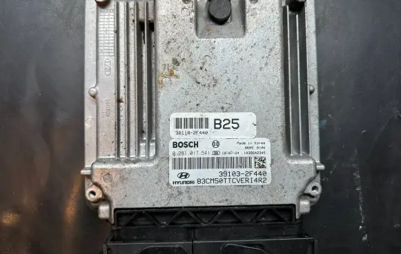Hyundai Santa Fe Engine control unit/module 391032F440 391182F440 0281017541