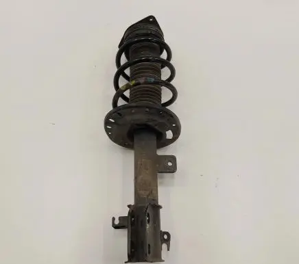 Peugeot 208 Front shock absorber with coil spring 98348500800