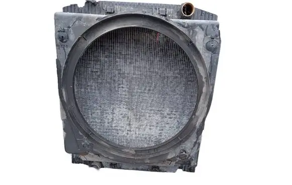 Iveco Massif Coolant radiator 2252511065