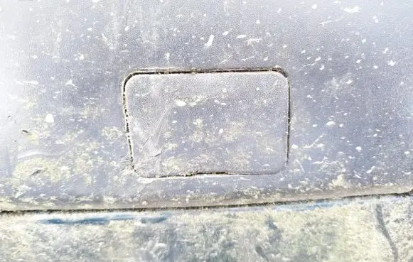 Citroen Xsara Rear bumper row hook cap/cover 