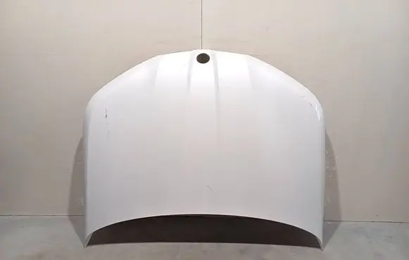 Engine bonnet/hood