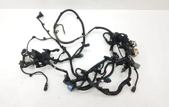 Engine installation wiring loom