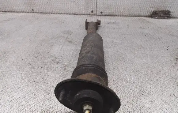 Cadillac CTS Rear shock absorber/damper
