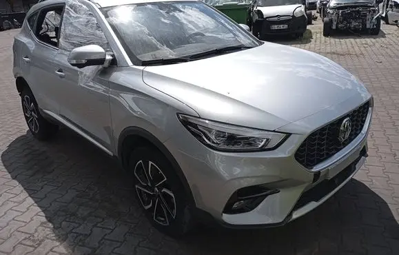 MG ZS Rear door DRZWIPTMGZS