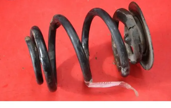 Rear coil spring