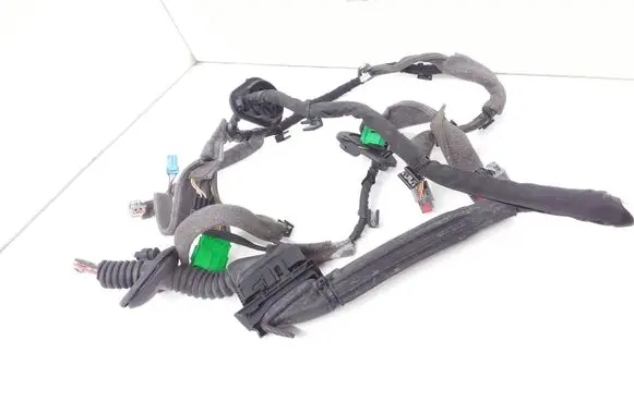 Front door wiring loom