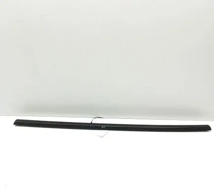 Tesla Model 3 Rear door glass trim molding 108074501J