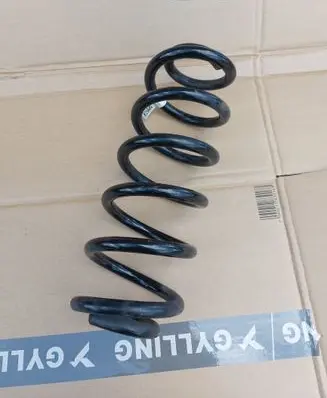 Rear coil spring
