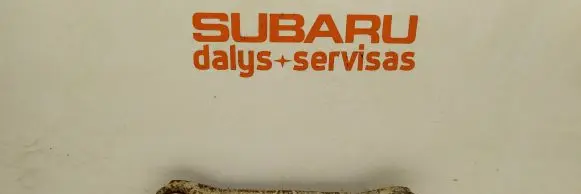 Subaru Outback Rear control arm