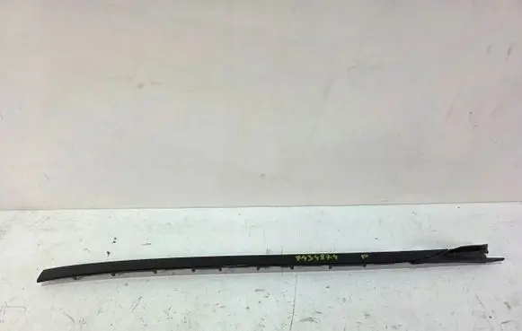 BMW X7 G07 Door glass rail 