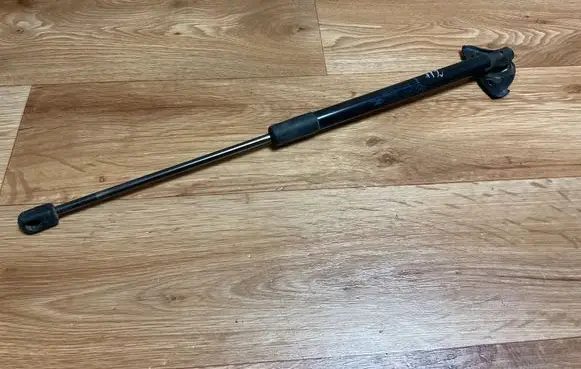 Tailgate/trunk strut/damper