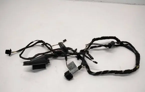 BMW X5 E53 Rear door wiring loom 6937603 6937558 10055910