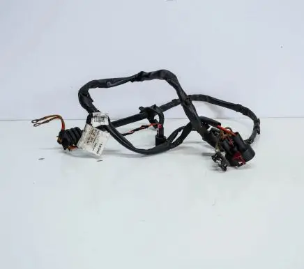 Audi A6 S6 C6 4F Other wiring loom 4F2971284E