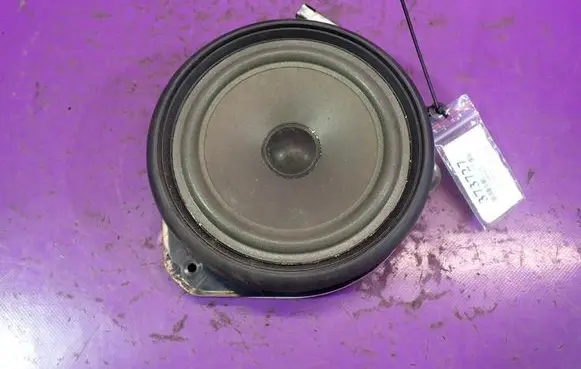Audi A4 S4 B7 8E 8H Front door speaker 