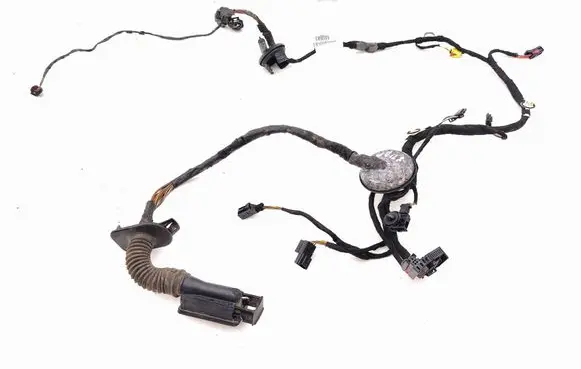 Front door wiring loom