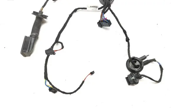 Rear door wiring loom