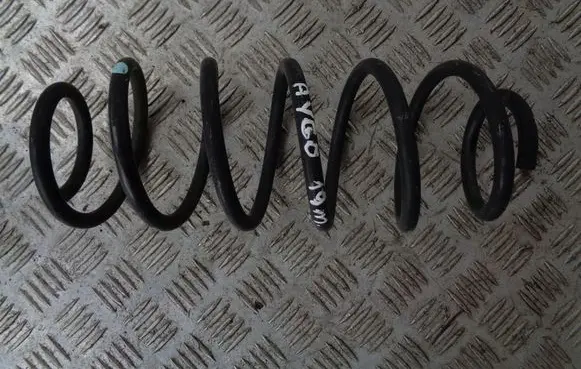 Rear coil spring