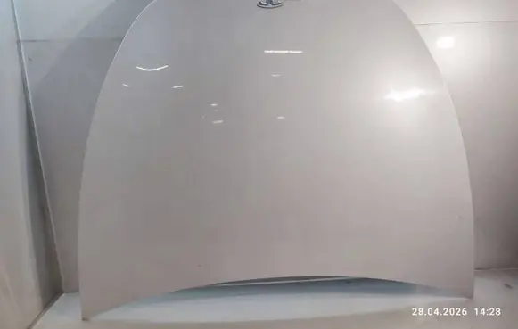 Tesla Model Y Engine bonnet/hood 