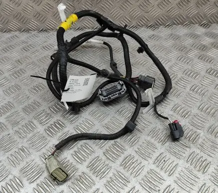Tesla Model 3 Other wiring loom 206796801B