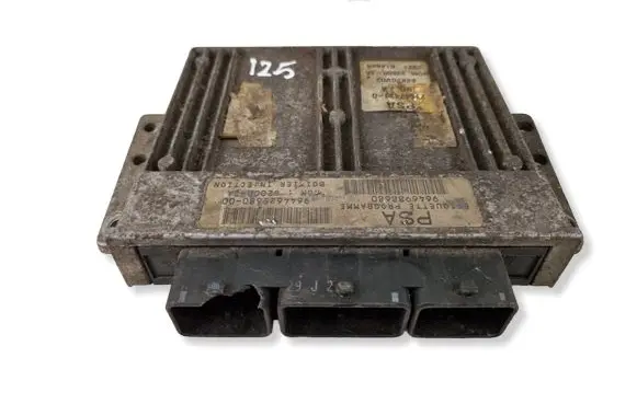 Peugeot 206 Engine control unit/module 9646988680