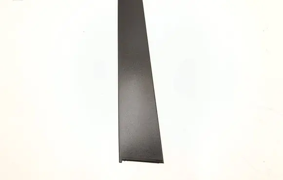 Dodge RAM 1500 DS Front door trim (molding) 68292928AD