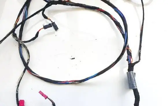 Other wiring loom