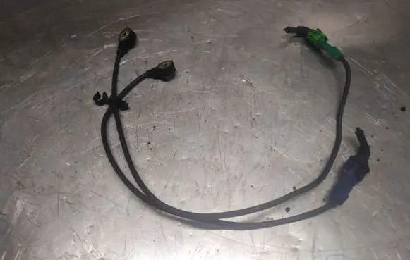 Skoda Superb B5 (3U) Detonation knock sensor 07D905377 06C905377