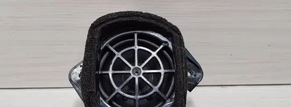 Front door speaker