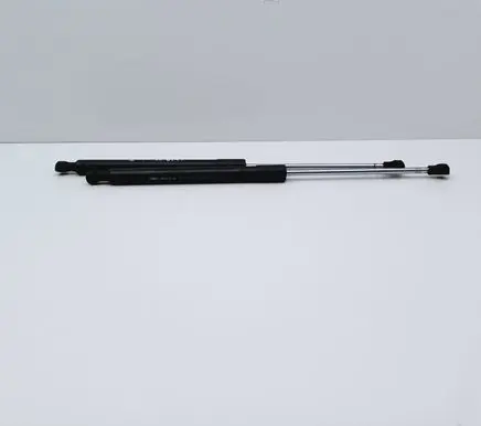 Renault Clio III Tailgate/trunk strut/damper 8200299546
