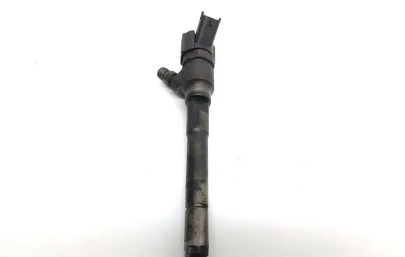 Hyundai Santa Fe Fuel injector 0445110254 3380027800