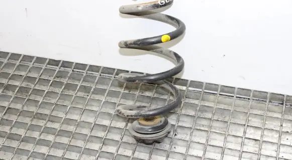 Nissan X-Trail T31 Rear coil spring