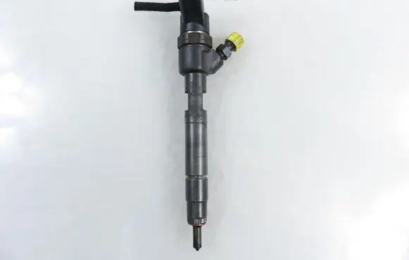 Smart ForTwo I Fuel injector 6600700187 0445110023