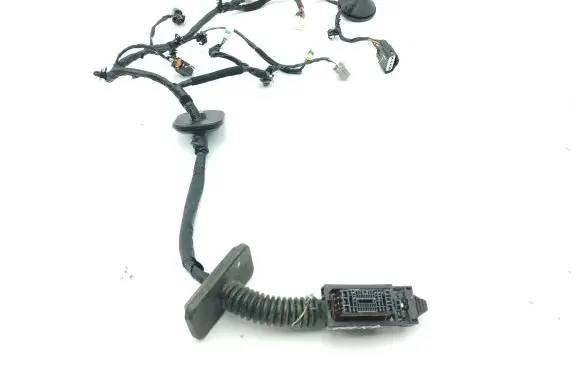 KIA Sportage Front door wiring loom 91610F1090