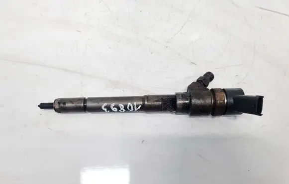 Chevrolet Captiva Fuel injector 0445110270