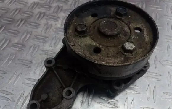 Renault 19 Water pump 7700599052
