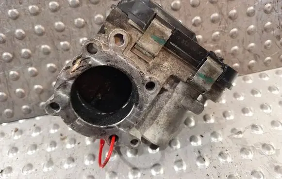 Throttle body valve