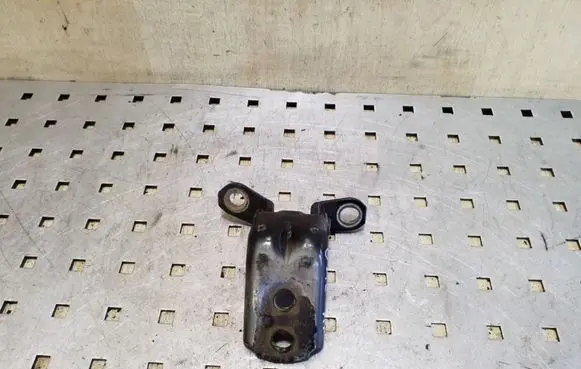 Nissan Pathfinder R51 Rear door lower hinge