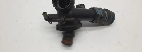 Thermostat/thermostat housing