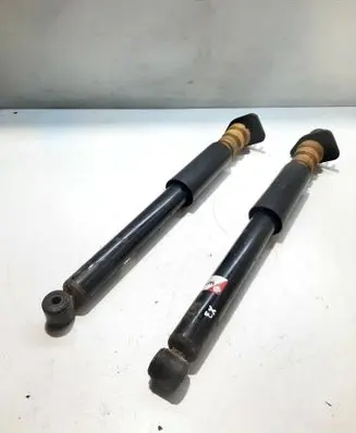 BMW X3 E83 Rear shock absorber/damper AGB078MT