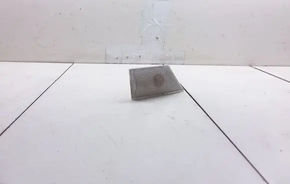 Front fender indicator light