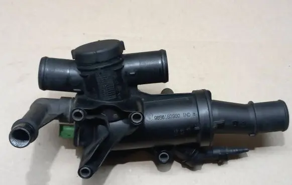 Thermostat/thermostat housing