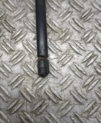 Tailgate strut