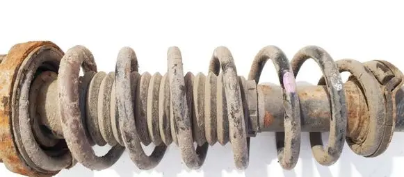 Chevrolet Epica Rear coil spring