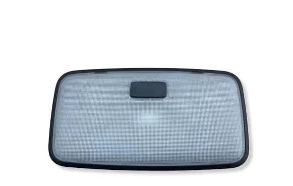 Toyota bZ4X Rear seat light 