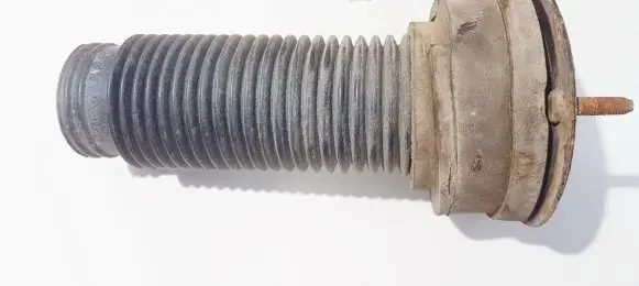 Coil spring mount