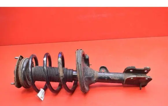 Hyundai Santa Fe Front shock absorber/damper