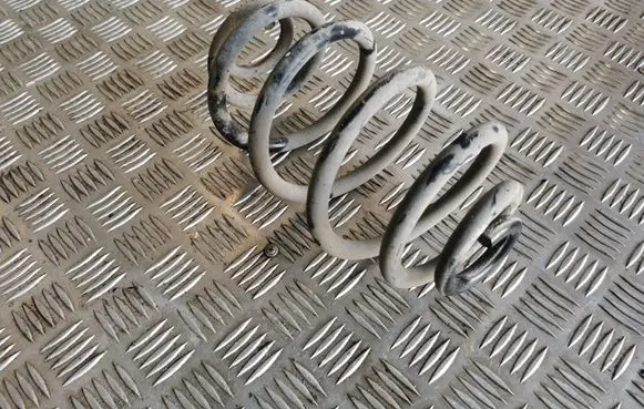 Volkswagen PASSAT B5 Rear coil spring